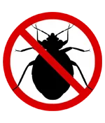 Bugs