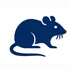 Preventative Pest Inspection Services