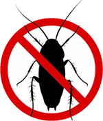 Termite