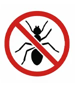 ants