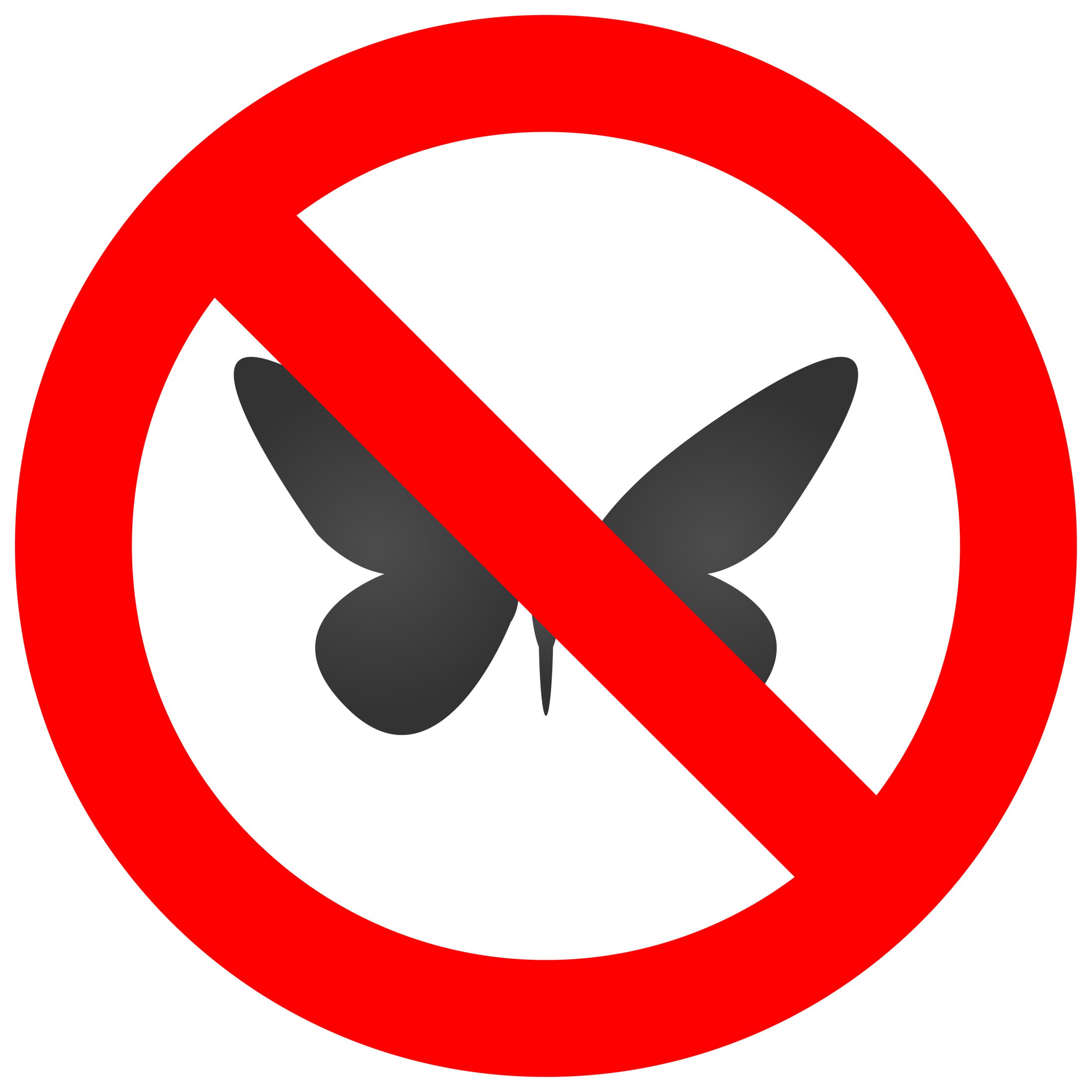 Preventative Pest Inspection Services