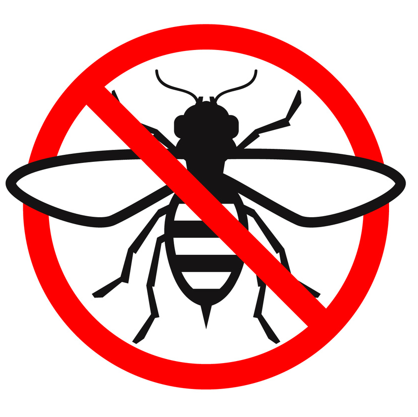 Termite Control Pest Inspection Services