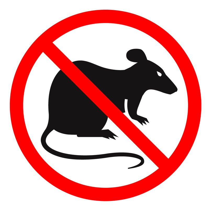 Preventative Pest Inspection Services