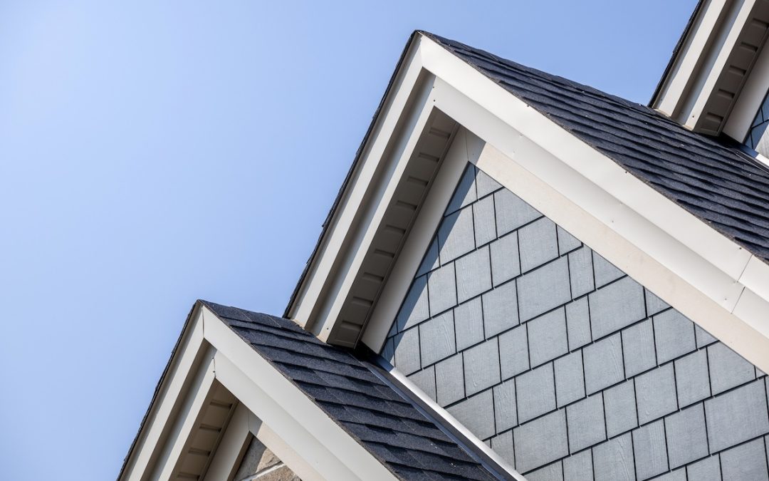 Something’s in the Attic: What You Need to Know About Roof Rats in Tampa Bay