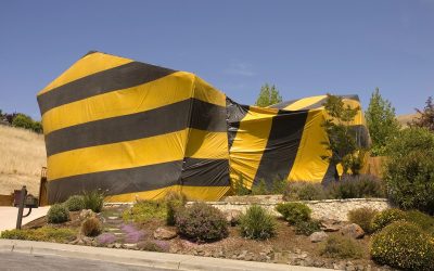 What Actually Happens During a Tent Fumigation: A Tampa Bay Homeowner’s Guide