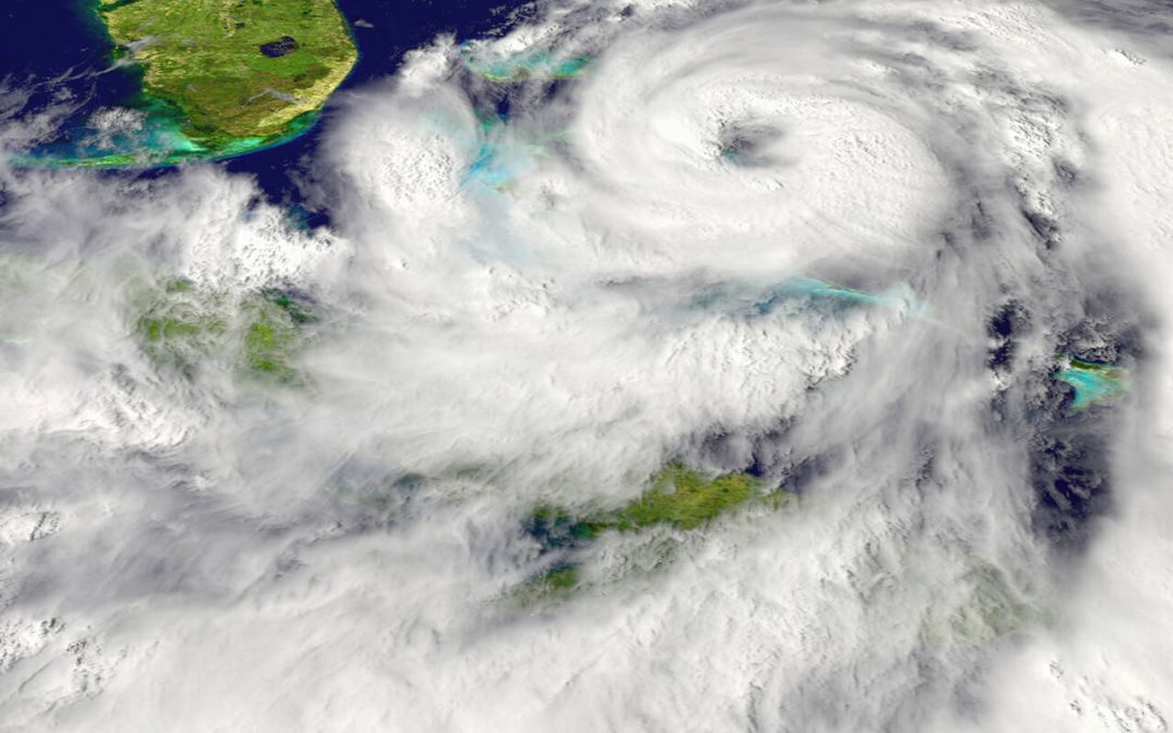 Peak Hurricane Season: Why Late August Through September Is Tampa Bay’s Highest Pest-Pressure Window