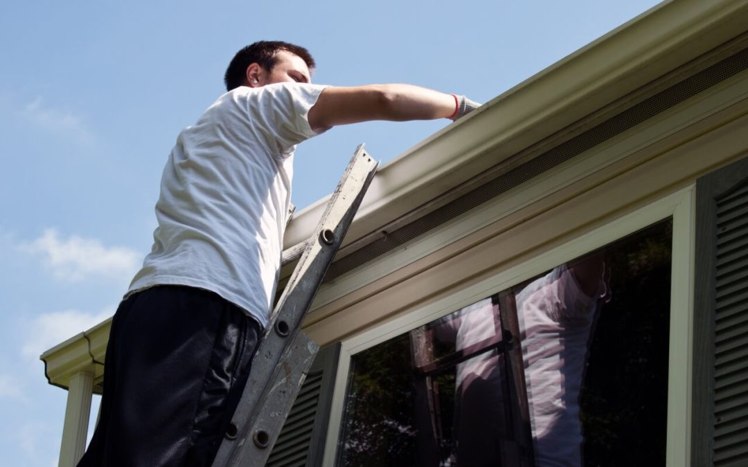 Fall Home Protection: Exclusion & Moisture Control Tips